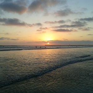 Meet your Posher, Pnut